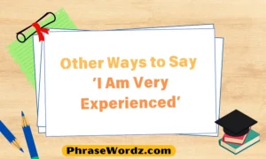 other-ways-to-say-i-am-very-experienced