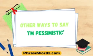 other-ways-to-say-i-m-pessimistic