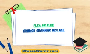 flea-or-flee-common-grammar-mistake