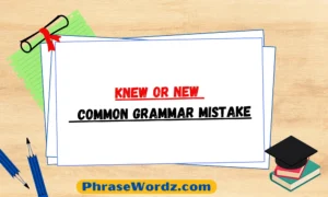 Knew or New - Common Grammar Mistake