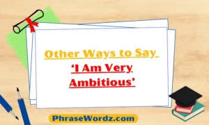 other-ways-to-say-i-am-very-ambitious