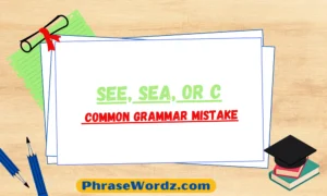 see-sea-or-c-common-grammar-mistake