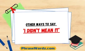 Ways to Say ‘I Didn’t Mean It’